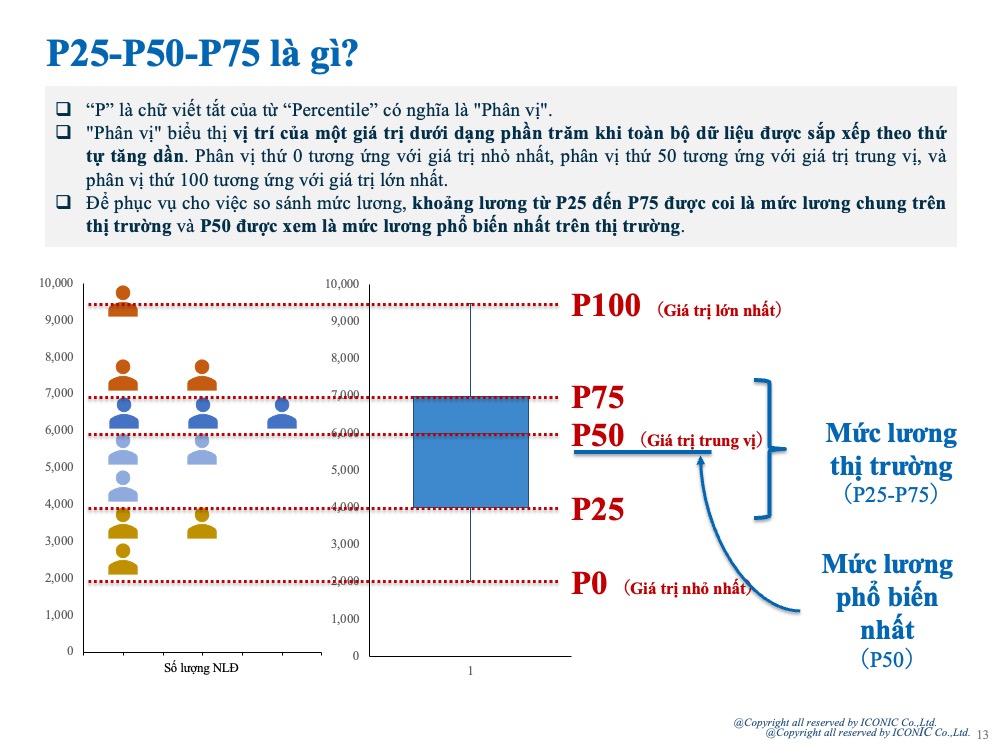 [2024] Báo cáo khảo sát lương tháng 5 năm 2024